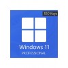 Windows 11 Professional - 100 Keys