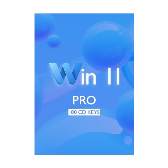 Win 11 Pro - 100 Keys