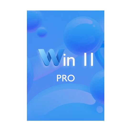 Win 11 Pro CD Key