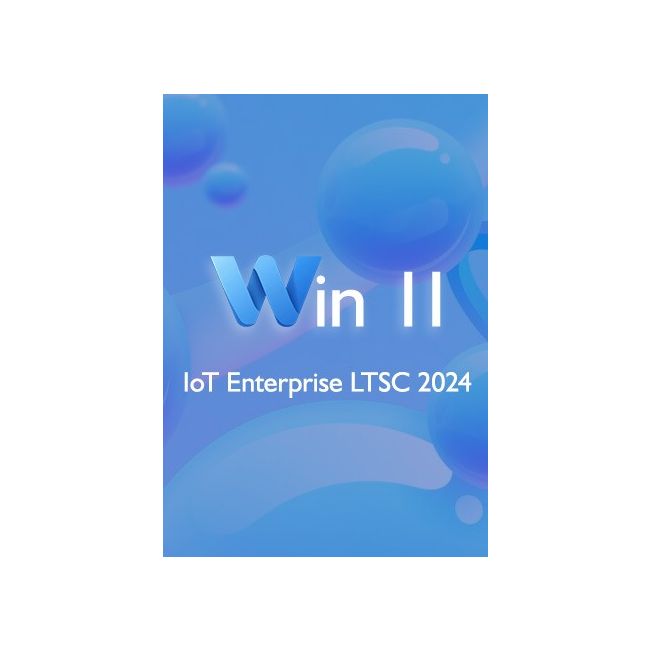 Win 11 IoT  Enterprise LTSC 2024  (1 PC)