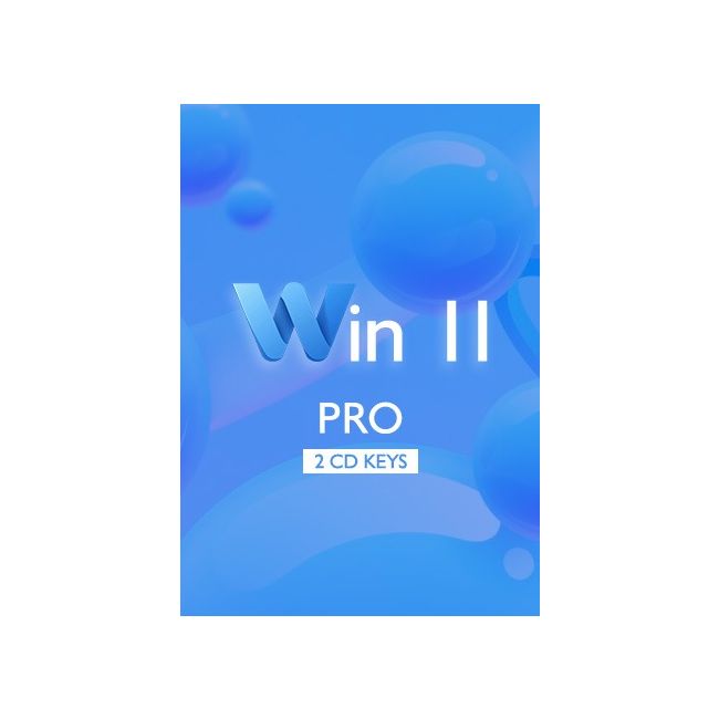 Win 11 Pro - 2 Keys
